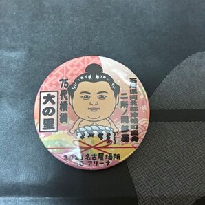 大相撲名古屋場所 IGアリーナ限定 缶バッジ
