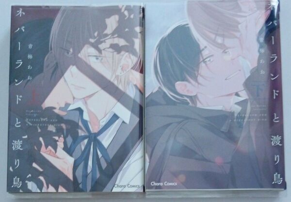青梅あお「ネバーランドと渡り鳥」上下巻 帯なし