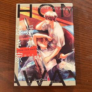 【美品】遥か遠き家(HOME FAR AWAY)