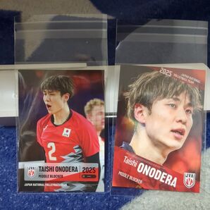 男子バレー2025トレーディングカード 小野寺太志