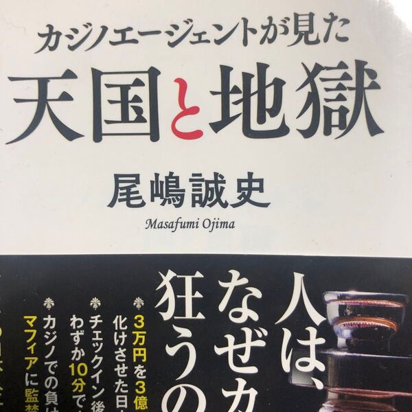 カジノエージェントが見た天国と地獄 (ポプラ新書 160) 尾嶋誠史/著