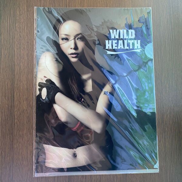 非売品 安室奈美恵 コカ・コーラ WILD HEALTH クリアファイル A4