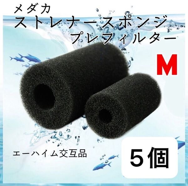 メダカ ストレーナー用スポンジ M 5個セット 水槽フィルター ストレーナー エーハイム交互品 ADA GEX 外部フィルター