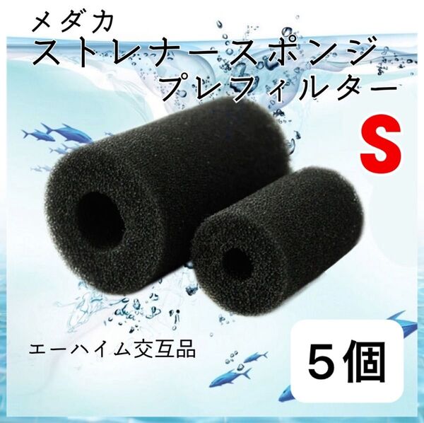 メダカ ストレーナースポンジ S 5個セット エーハイム交互品 テラリウム テトラ 水栓 ADA GEX 外部フィルター