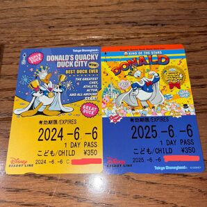 ディズニーリゾートライン☆パルパルーザ ドナルド フリー切符(期限切れ)2枚