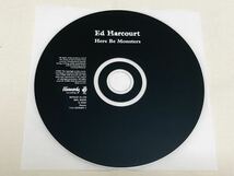 Ed harcourt★here be monsters★HVNLP31CD★輸入盤_画像5