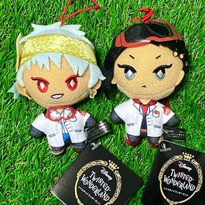 【ツイステ】 カリム ジャミル 実験着 エクストラマスコット 2点セット