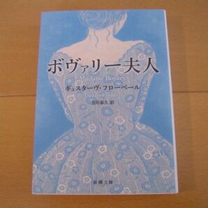 ボヴァリー夫人 フローベール 芳川泰久 新潮文庫