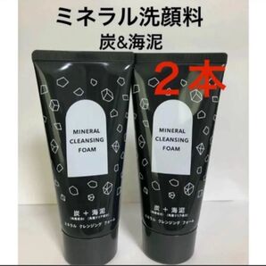 2本 ミネラル クレンジング フォーム くすみ&毛穴ケア スッキリ洗顔 男性にもお勧め 炭&海泥配合 洗顔料 FMG エイボン