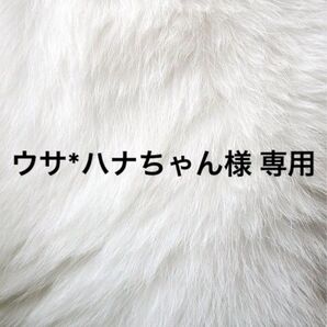 ウサ*ハナちゃん様 専用