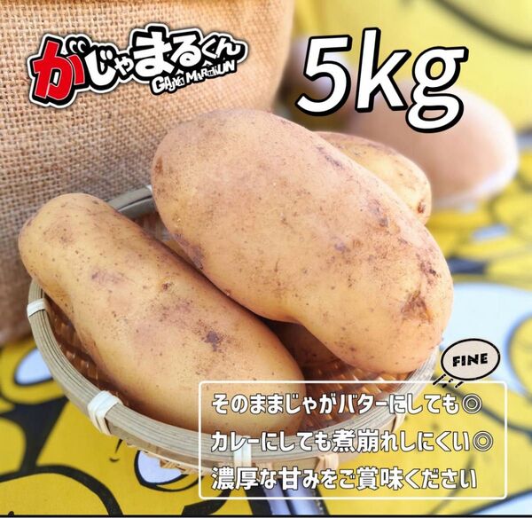 数量限定 約5kg 新じゃが ジャガイモ じゃがいも Lサイズ 新じゃがいも メークイン 鹿児島県産