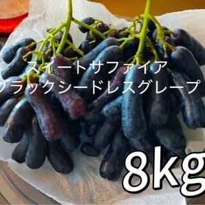 8kg スイートサファイア ブラックシードレスグレープ オーストリア産 ぶどう 大容量 濃厚な甘み 訳あり