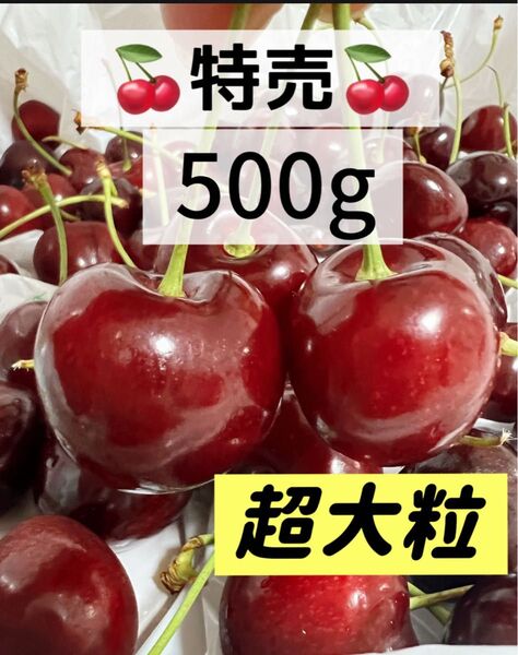 9.5r大粒アメリカンチェリー500g 父の日 中元 家庭用 ポスト投函 車厘子 さくらんぼ 果物 フルーツ 国内検品発送