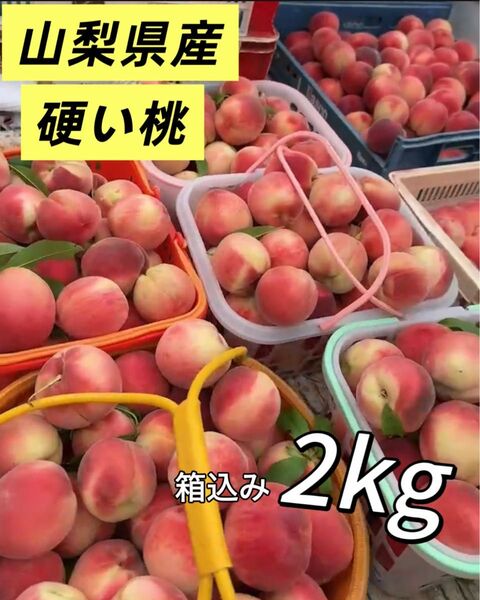 常温便 山梨県産 桃 2キロ 桃 もも モモ 硬くて甘い 果物 フルーツ 訳あり