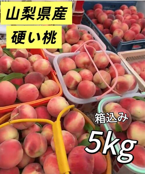 常温便 山梨県産 5キロ 桃 もも モモ 硬くて甘い 果物 フルーツ 訳あり