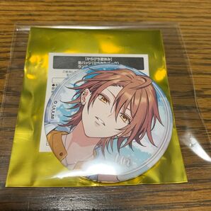 カラフルピーチ ひらかたパーク 缶バッジ うりさん