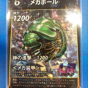 虫神器 4期、5期セミコンプ LR含む180枚セット ファイルごと送付