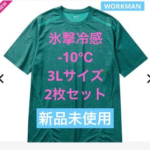 氷撃冷感-10℃ 半袖 Tシャツ グリーン杢 3L 2枚組ショートスリーブ 新品