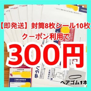 【即発送】ゆうパケットポストmini ゆうパケットポストミニ 8枚 ゆうパケットポストシール10枚 ヘアゴム1本
