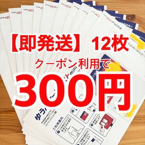 【即発送】ゆうパケットポストmini ゆうパケットポストミニ 12枚