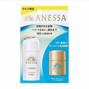 限定セット アネッサ デイセラム N トライアルセット a・新品未開封品