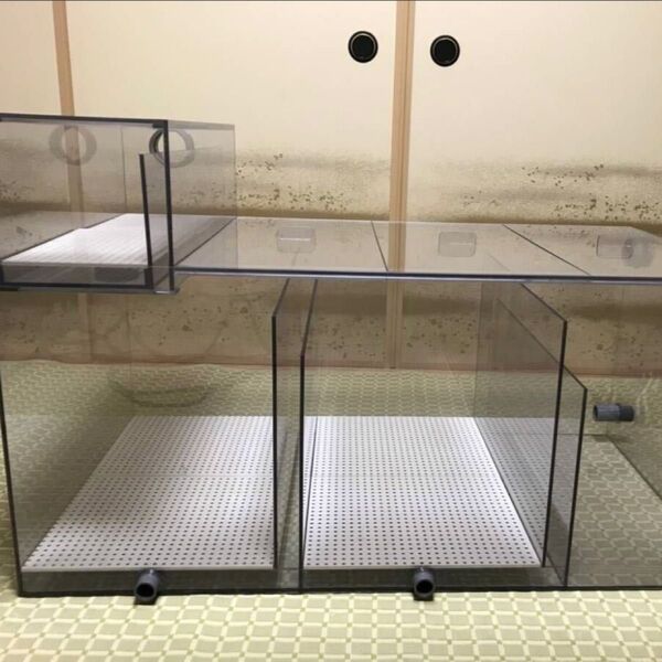 オール5mm板厚使用 ★☆販売再開 3層式濾過槽 オーバーフロー水槽用 1000×400×400 水流2タイプ 送料別☆★