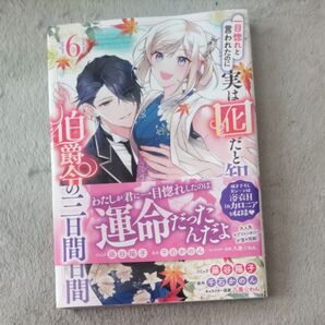 一目惚れと言われたのに実は囮だと知った伯爵令嬢の三日間 6