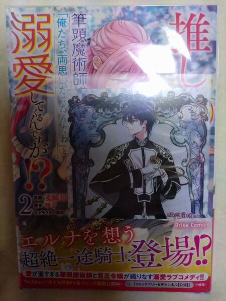 推し〈嘘〉の筆頭魔術師様が「俺たち、両思いだったんだね」と溺愛してくるんですが!? 駿河屋 特典