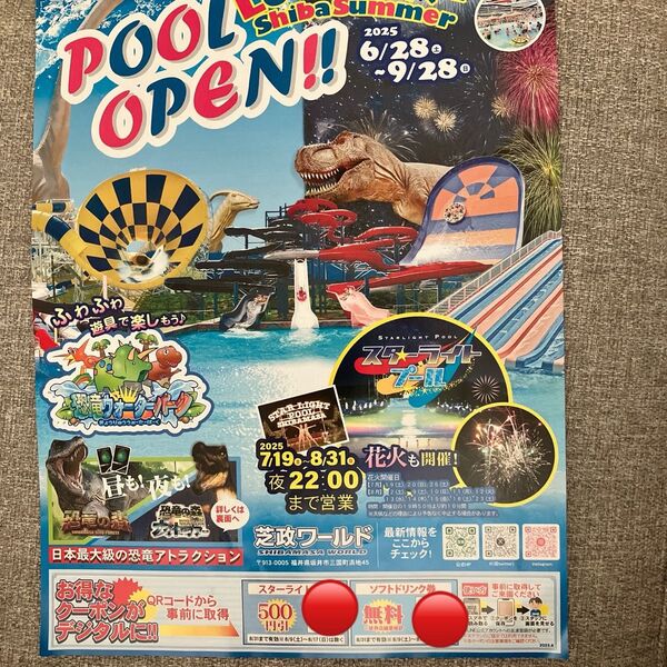芝政 チケット 割引券 無料券 福井