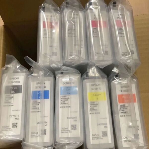 EPSON SC10R70 エプソン 純正 インクカートリッジ 9色セット