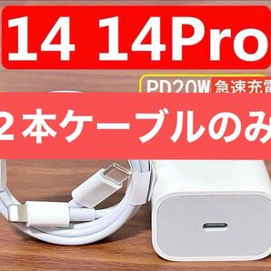 2本ケーブルのみ
