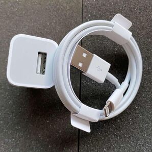 USB iPhone 充電ケーブル 1M USB 充電器 ACアダプター