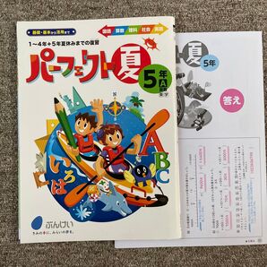 パーフェクト夏 5年 夏休みドリル ワーク 小5 理科 算数 国語 社会 英語 漢字 計算 問題集 クーポン