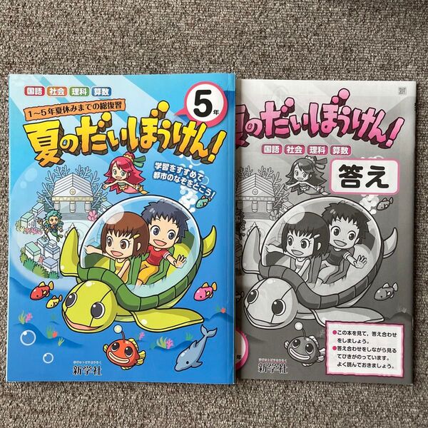 夏のだいぼうけん 5年 夏休みドリル ワーク 小5 理科 算数 国語 社会 漢字 計算 問題集 クーポン 夏休み