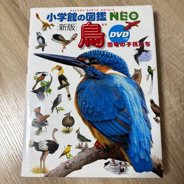 小学館の図鑑NEO 鳥 DVD無し