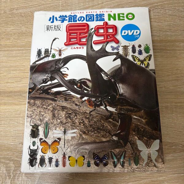 小学館の図鑑NEO 昆虫 DVDなし