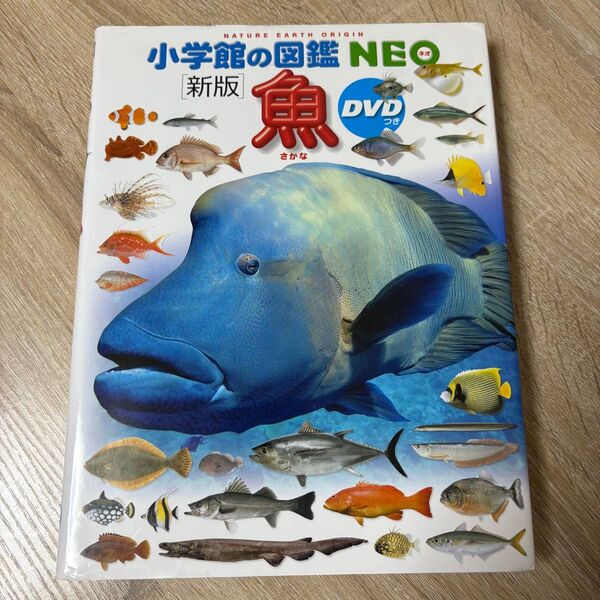 小学館の図鑑NEO 魚 新版 DVD無し カバーあり