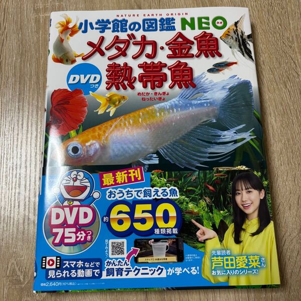 小学館の図鑑NEO メダカ・金魚・熱帯魚 初版 DVD無し 帯付き