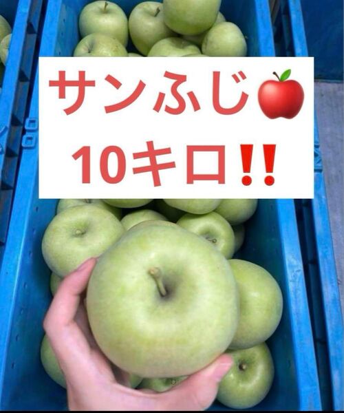 採れたて新鮮!長野県産 サンふじ 摘果りんご 10kg 10キロ 加工用 ジャム to 産地直送 6