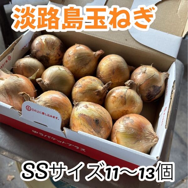 【淡路島ミニ玉ねぎ 】SSサイズ 11〜13個 農家直送
