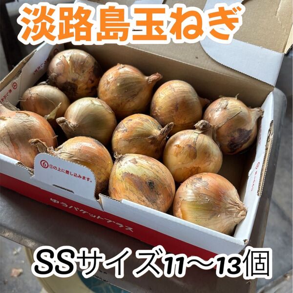 【淡路島ミニ玉ねぎ 】SSサイズ 11〜13個 農家直送