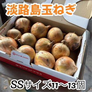 【淡路島ミニ玉ねぎ 】SSサイズ 11〜13個 農家直送