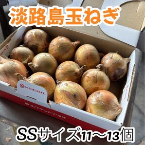 【淡路島ミニ玉ねぎ 】SSサイズ 11〜13個 農家直送