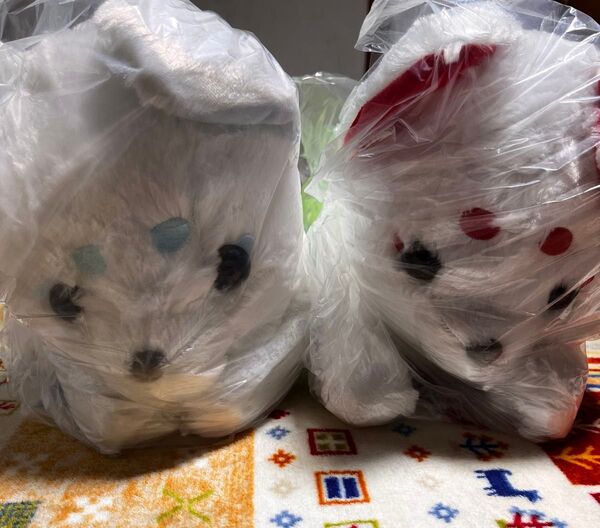 ちょコンと管キツネ ぬいぐるみ 2個セット かしわもち あんまき 未開封