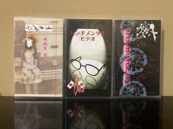 the GazettE インディーズVHS 3本セット 百鬼家行 センチメンタルビデオ 視聴覚質 ガゼット 大日本異端芸者