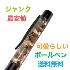 【最安値】ボールペン ジャンク 芯が出てこない 仕組みわかる方 修正出来る方おすすめ 可愛らしい 上品 送料無料 匿名発送 最安値