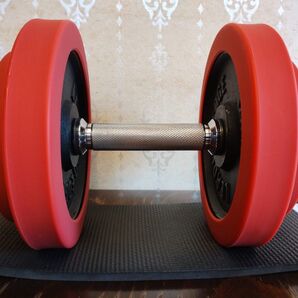 【リーディングエッジ】ラバーダンベルセット 20KG(スチールダンベル) 片手A 1個分 オマケ付き