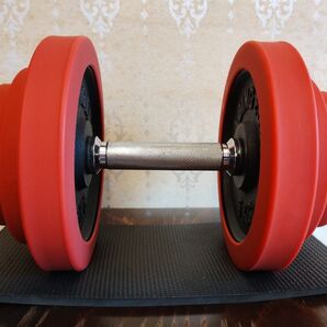 【リーディングエッジ】ラバーダンベルセット 20KG(スチールダンベル)片手B 1個 オマケ付き