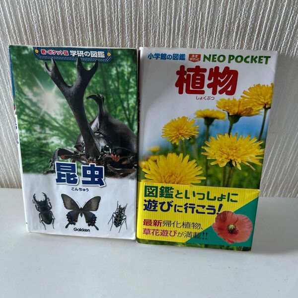学研の図鑑LIVE 昆虫と小学館の図鑑NEO POCKET 植物 2冊セット