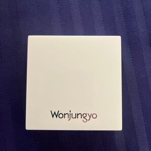 Wonjungyo ウォンジョンヨ カバーマスター ブライトニングコンシーラー 2g+2.5g 01 ビスクピンク 美品